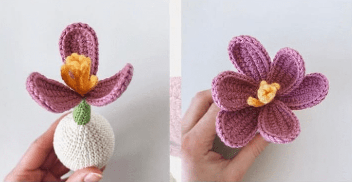 PDF Crochê de Flor de Açafrão Receita de Amigurumi Grátis